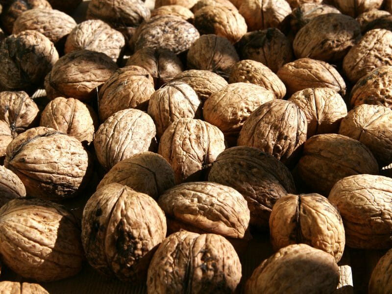 Cliquez pour zoomer ! Beurre de noix de cajou Thermomix par FatyBW