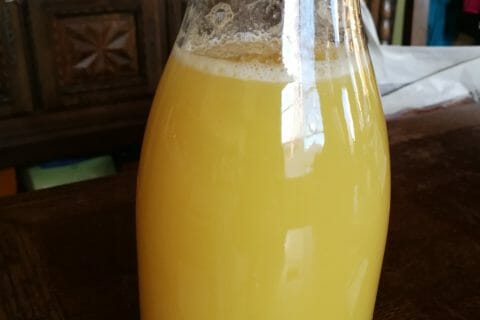 Cliquez pour zoomer ! Jus de pommes Thermomix par sindy22