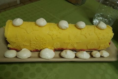 Cliquez pour zoomer ! Bûche glacée mangue et framboise Thermomix par MB2team