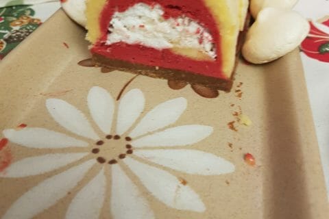 Cliquez pour zoomer ! Bûche glacée mangue et framboise Thermomix par MB2team