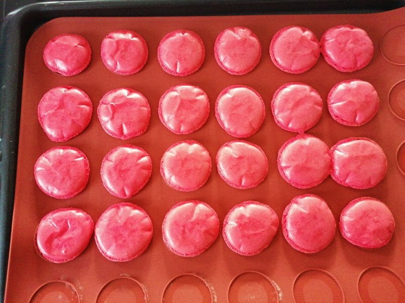 Cliquez pour zoomer ! Macarons Thermomix par Sandra_Nicolas