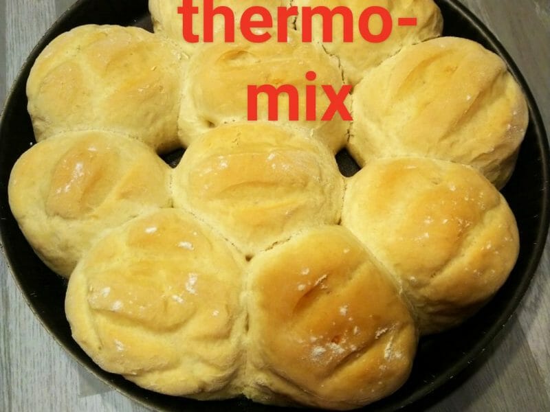 Cliquez pour zoomer ! USER_SCOPED_TEMP_DATA_orca-image–990284701 Thermomix par mimichris