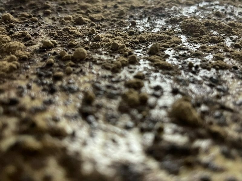 Cliquez pour zoomer ! Tiramisù, l’original Thermomix par Tharkan