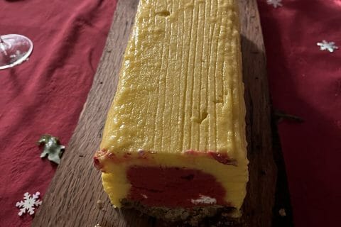 Cliquez pour zoomer ! Bûche glacée mangue et framboise Thermomix par Steph0277