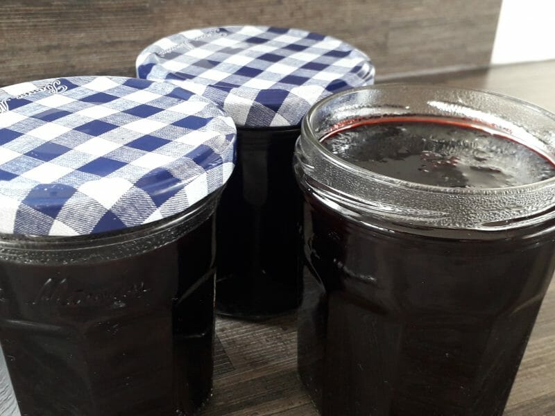 Confiture de myrtilles au Thermomix - Cookomix