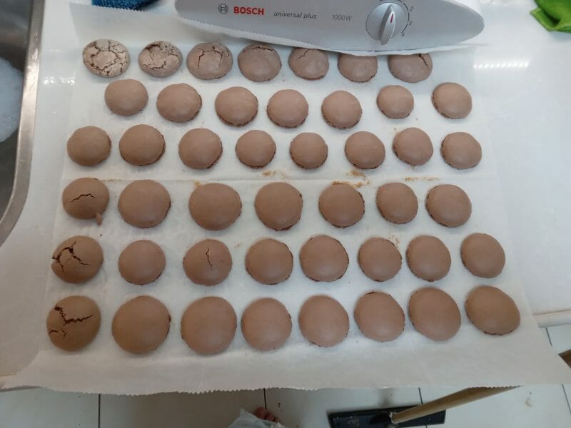 Cliquez pour zoomer ! Macarons Thermomix par jerusabine