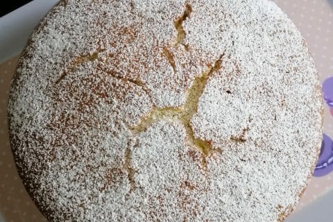 Gateau A L Orange Au Thermomix Cookomix