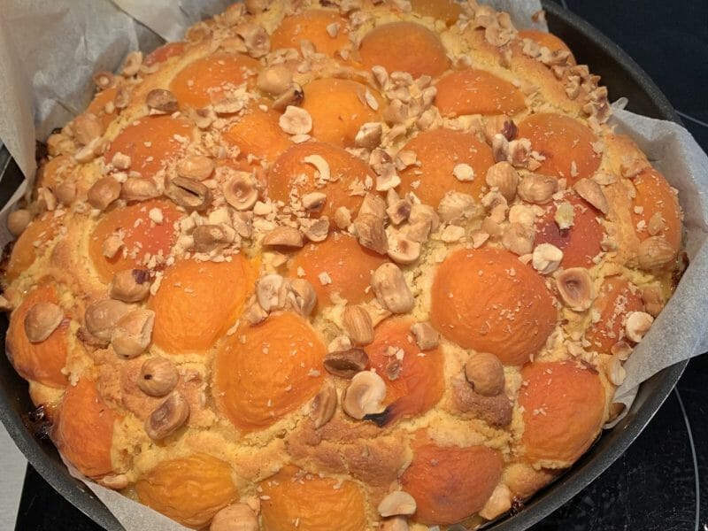 Cliquez pour zoomer ! Gâteau moelleux aux abricots Thermomix par Maya3412