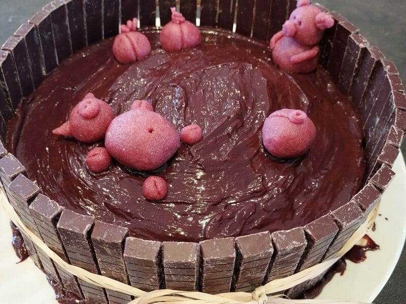 Cliquez pour zoomer ! La mare aux cochons Thermomix par ElodieReb