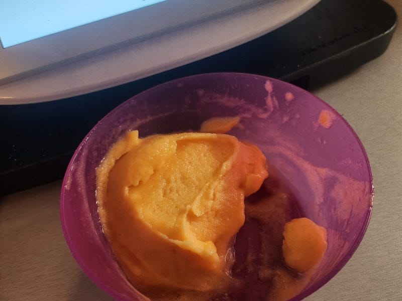 Cliquez pour zoomer ! Sorbet melon Thermomix par karimannie