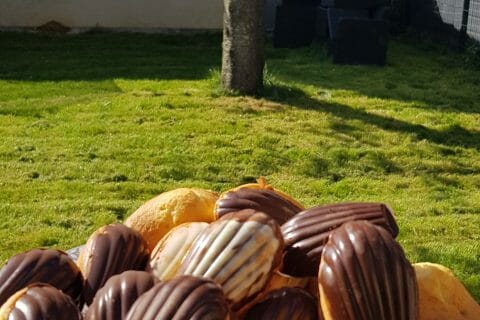 Cliquez pour zoomer ! Madeleines Thermomix par guamo07