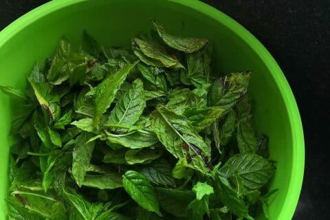 Cliquez pour zoomer ! Sirop de menthe Thermomix par Mabe1978