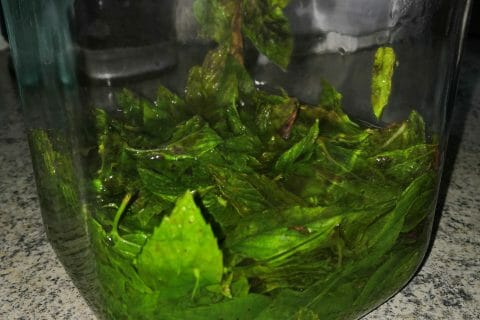 Cliquez pour zoomer ! Sirop de menthe Thermomix par Mabe1978