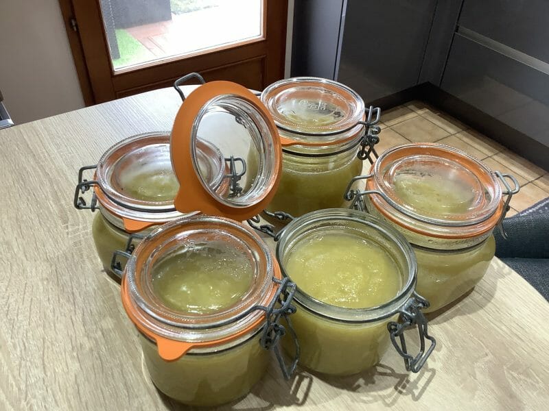 Cliquez pour zoomer ! Compote de rhubarbe Thermomix par Jazzounet