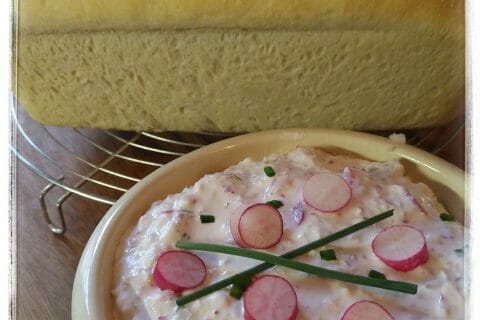 Cliquez pour zoomer ! Rillettes de radis roses au cheese cream au Thermomix