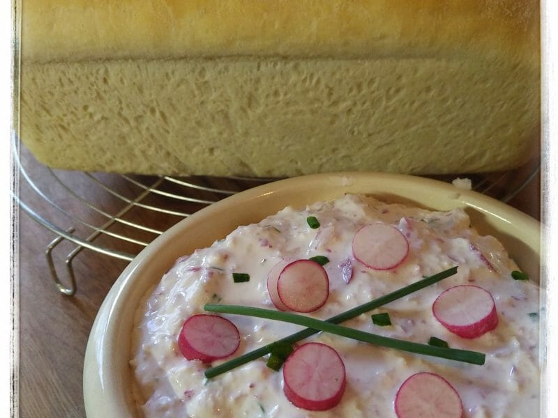 Cliquez pour zoomer ! Rillettes de radis roses au cheese cream Thermomix par Sandrine