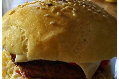 Cliquez pour zoomer ! Pains hamburger au Thermomix