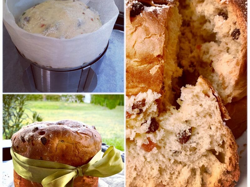 Cliquez pour zoomer ! Panettone Thermomix par skygirl