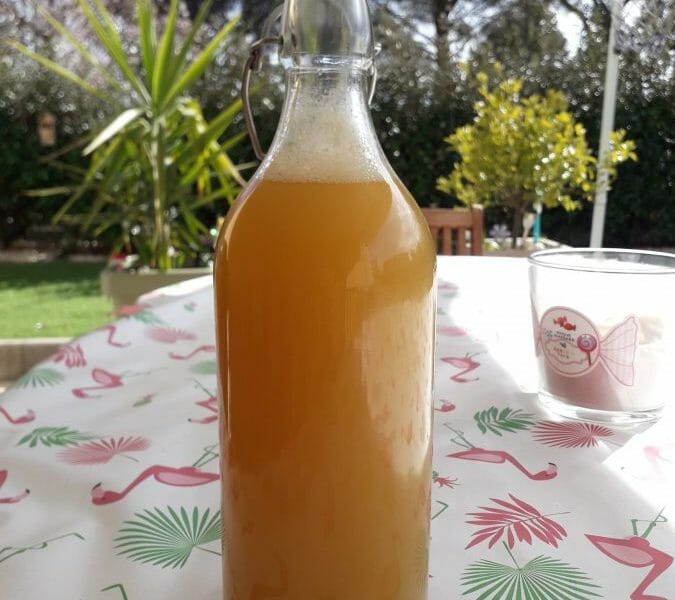 Cliquez pour zoomer ! Jus de pommes Thermomix par Anso