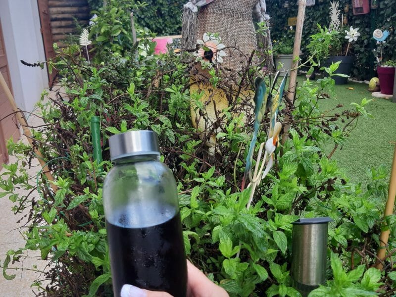 Cliquez pour zoomer ! Sirop de menthe Thermomix par Anso