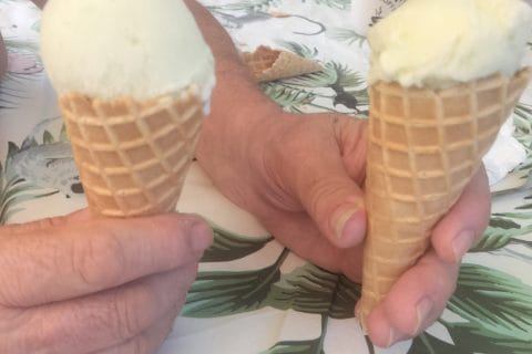 Cliquez pour zoomer ! Glace menthe chocolat Thermomix par Anso