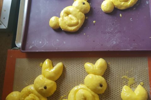 Cliquez pour zoomer ! Brioches lapin de Pâques Thermomix par helenah61