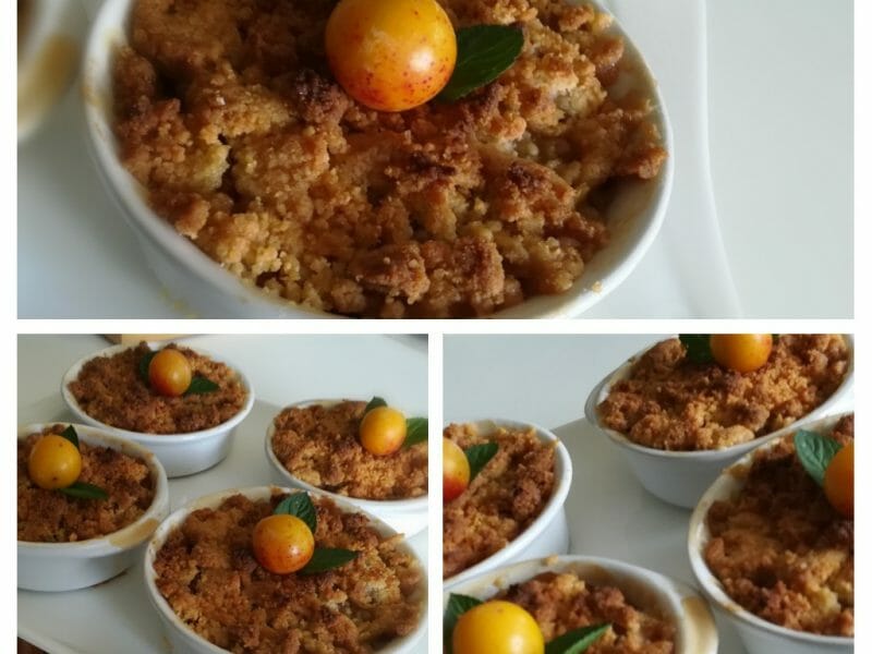 Cliquez pour zoomer ! Crumble aux mirabelles Thermomix par Cocotte 49