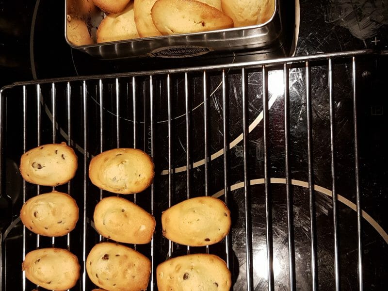 Cliquez pour zoomer ! Madeleines Thermomix par ad696