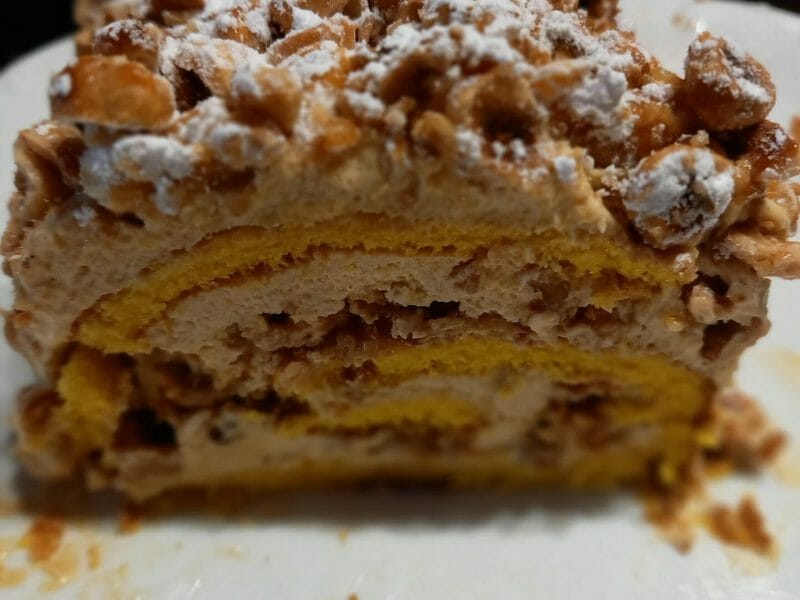 Cliquez pour zoomer ! Bûche pralinée aux éclats de noisettes caramélisés Thermomix par Fredouilli