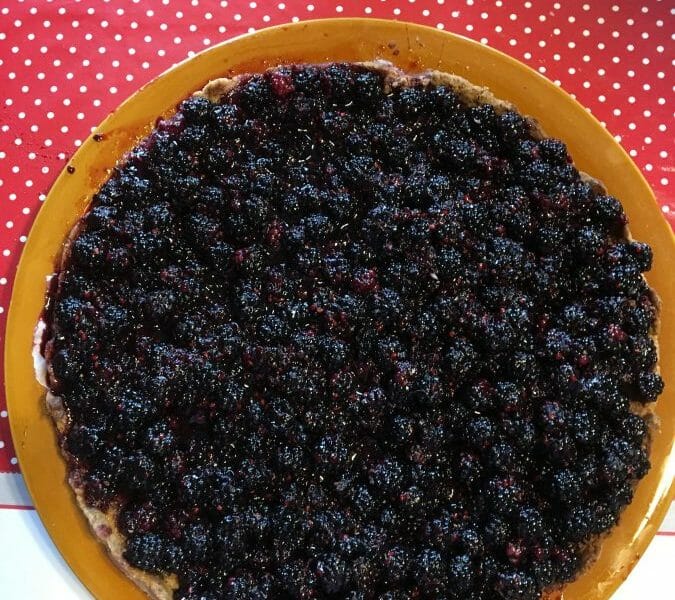 Cliquez pour zoomer ! Tarte aux myrtilles Thermomix par clove