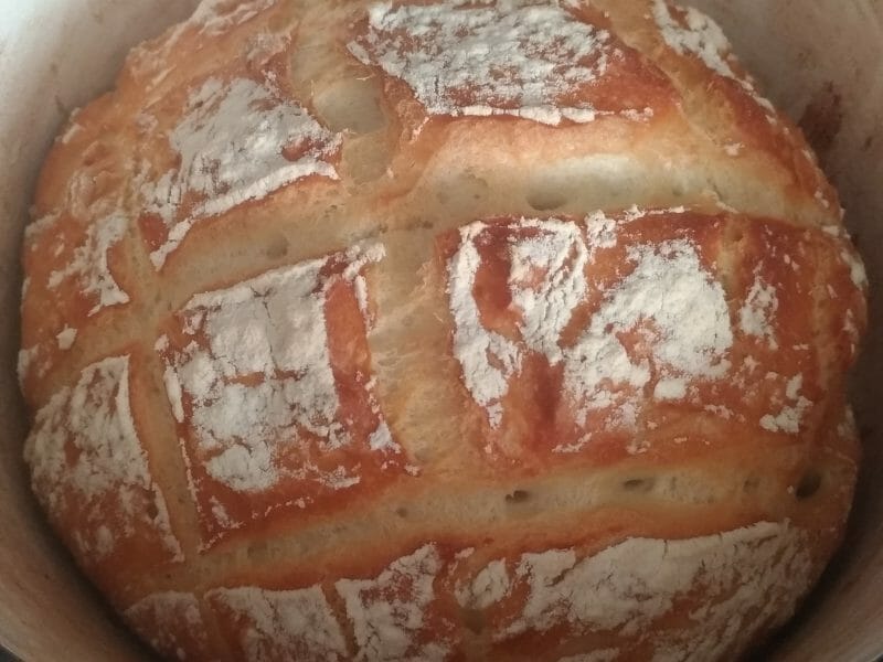 Cliquez pour zoomer ! Pain Cocotte Thermomix par Gmlpc