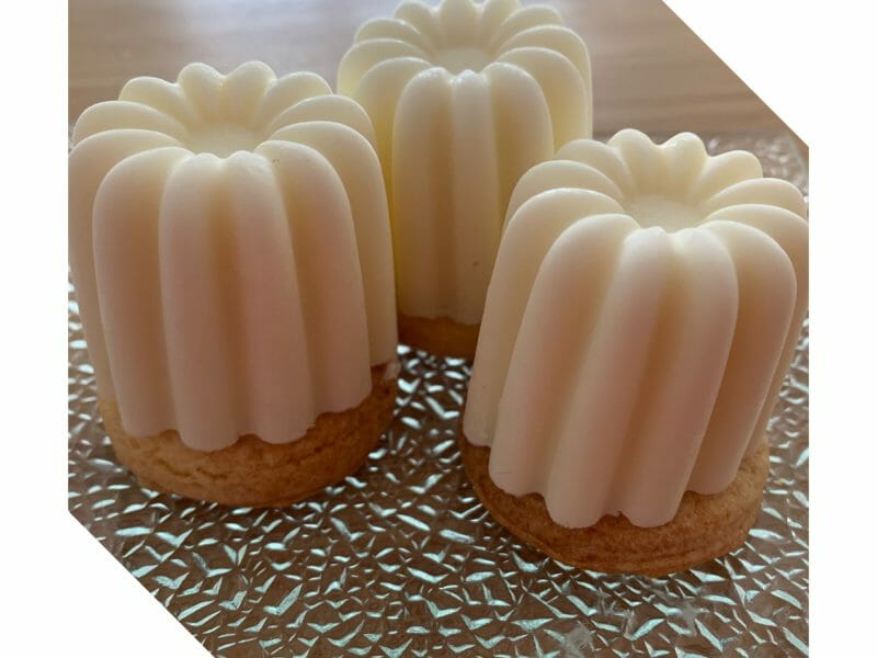 Cliquez pour zoomer ! Panna cotta coco mangue Thermomix par AnaYs