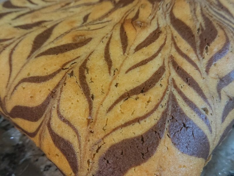 Cliquez pour zoomer ! Gâteau zébré Thermomix par Yousrak