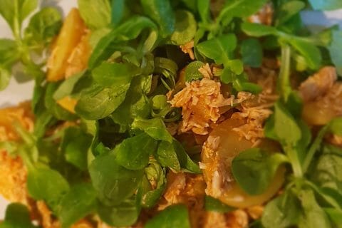 Cliquez pour zoomer ! Salade de poulet au pesto rosso Thermomix par kriskall