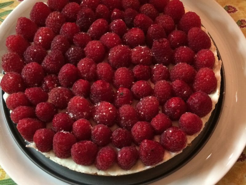 Cliquez pour zoomer ! Tarte aux fraises sans cuisson Thermomix par gigi72