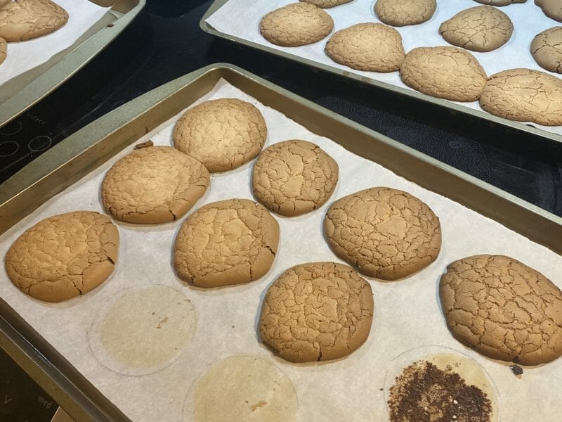 Cliquez pour zoomer ! Macarons Thermomix par lauriemmm