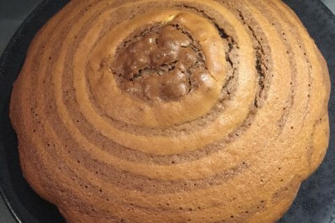 Cliquez pour zoomer ! Gâteau zébré au Thermomix