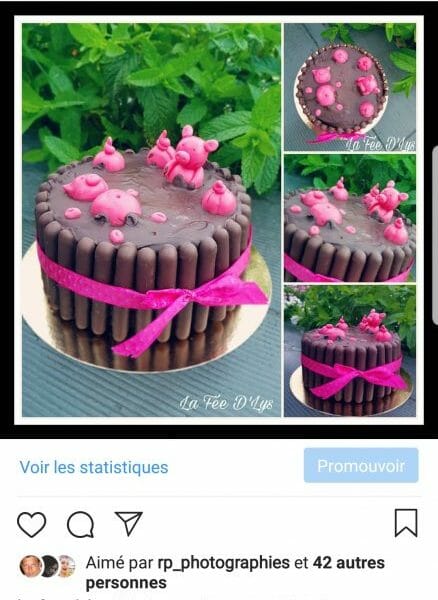 Cliquez pour zoomer ! La mare aux cochons Thermomix par La Fée D'Lys