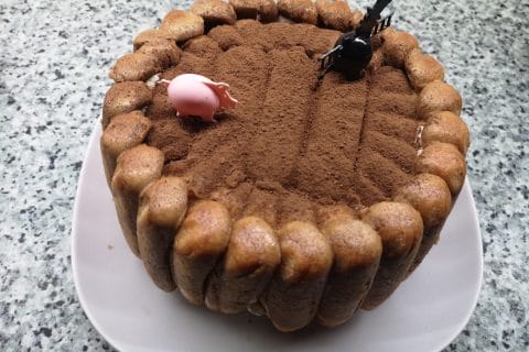 Photos des recettes