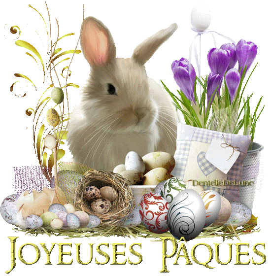 Cliquez pour zoomer ! Photo de Scorpion68 Thermomix par Scorpion68