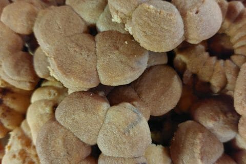 Cliquez pour zoomer ! Sablés à la presse à biscuits Thermomix par lorlan