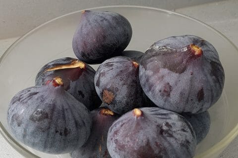 Photos des recettes