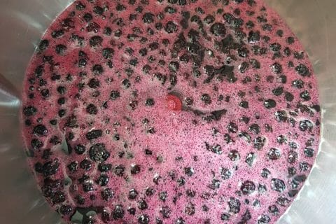 Cliquez pour zoomer ! Confiture de myrtilles Thermomix par Toth17