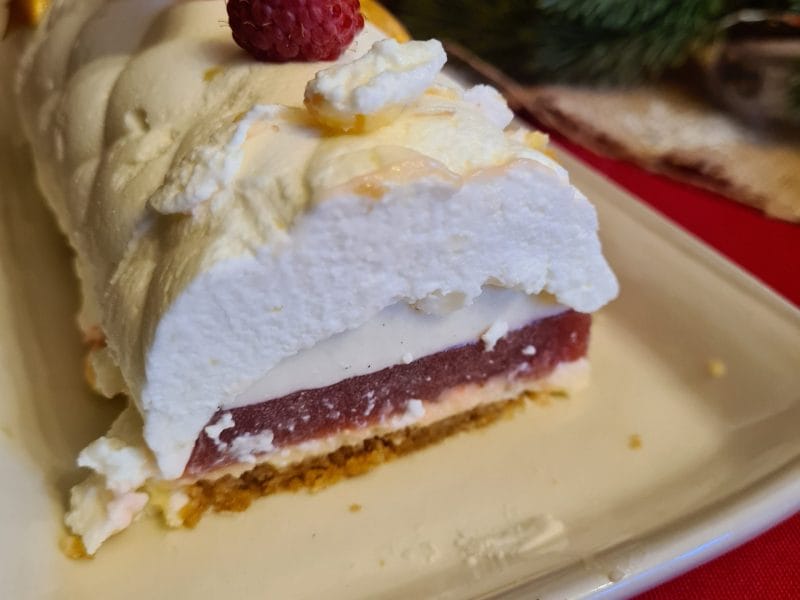 Cliquez pour zoomer ! Bûche citron et framboises Thermomix par jeffaure