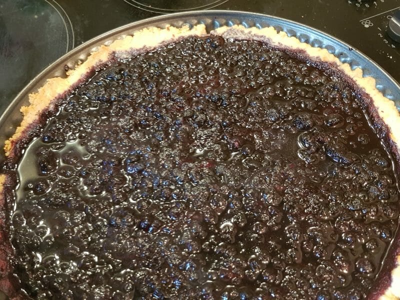 Cliquez pour zoomer ! Tarte aux myrtilles Thermomix par Antonin