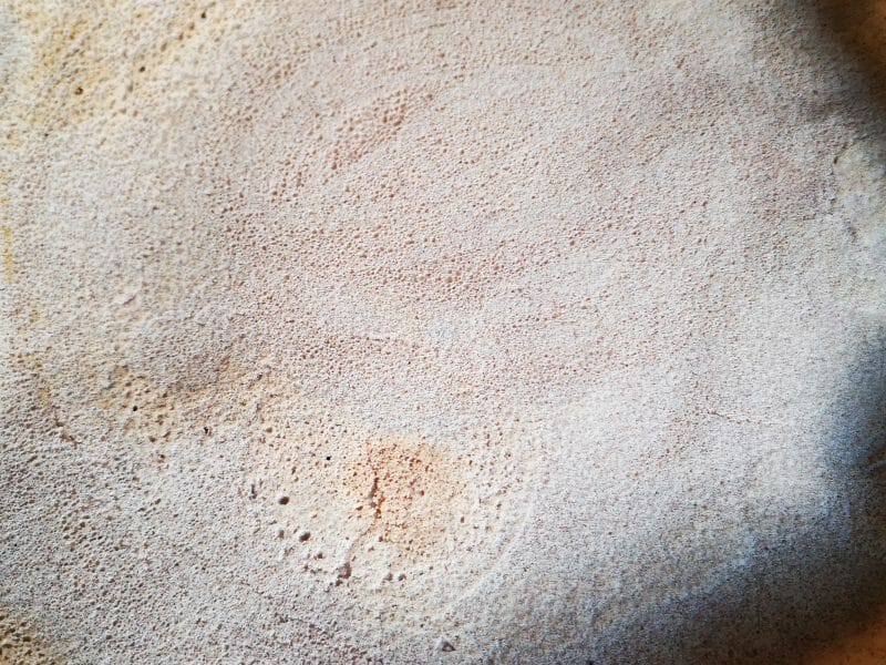 Cliquez pour zoomer ! Galettes de sarrasin Thermomix par moniquesel