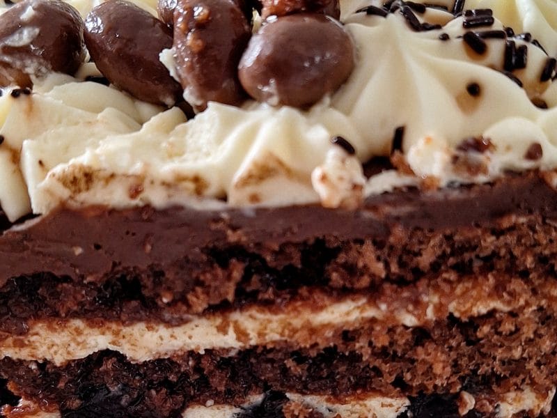 Cliquez pour zoomer ! Bûche forêt noire Thermomix par bernie02