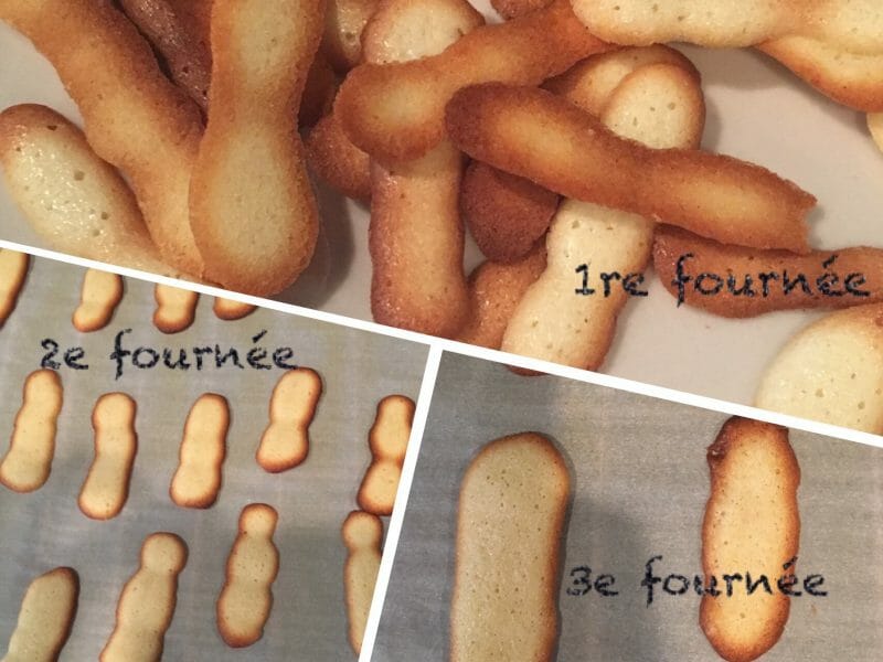 Cliquez pour zoomer ! Langues de chat Thermomix par nanagrub