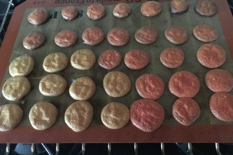 Cliquez pour zoomer ! IMG_8585