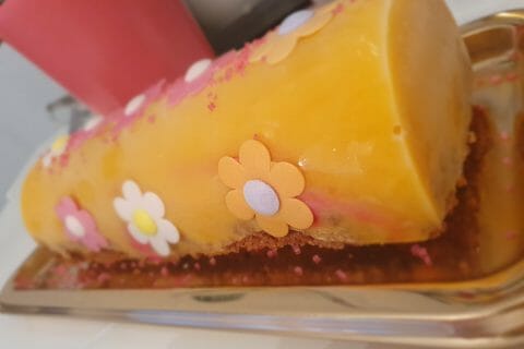 Cliquez pour zoomer ! Bûche glacée mangue et framboise Thermomix par Meëly